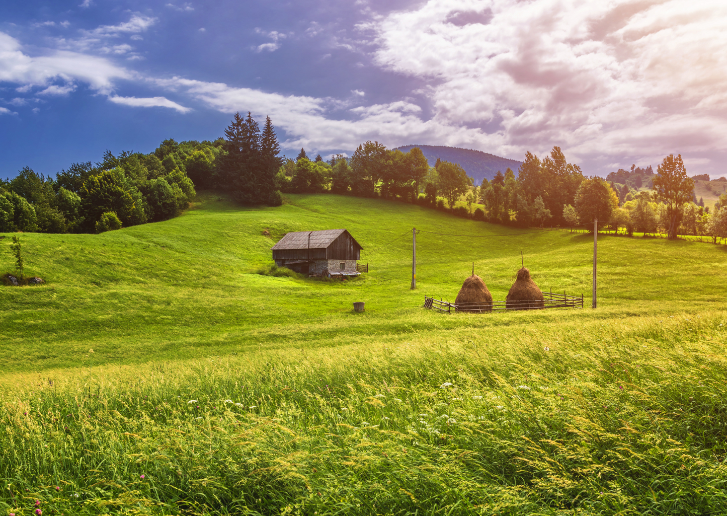 ROMANIA