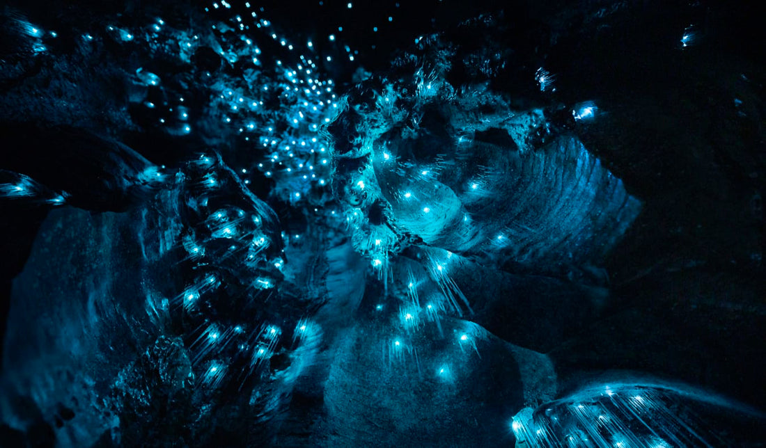 Gua Bercahaya Seperti Fairy Lights di New Zealand