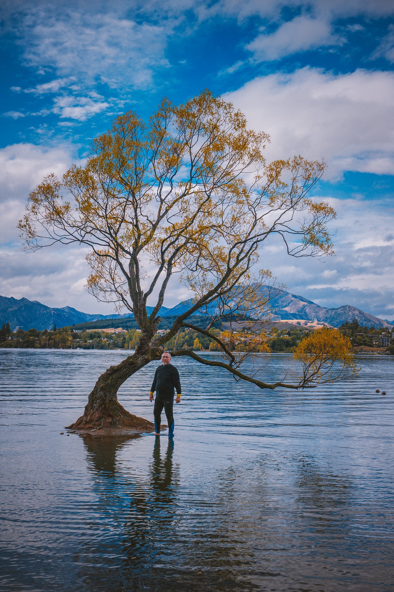 SOUTH NEW ZEALAND