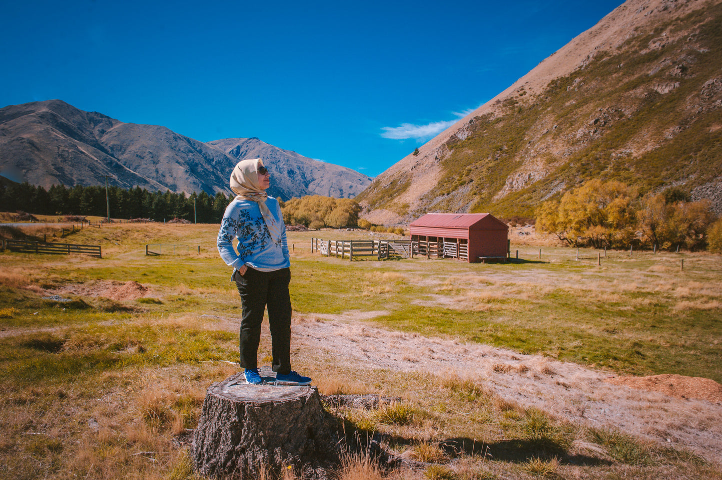 SOUTH NEW ZEALAND