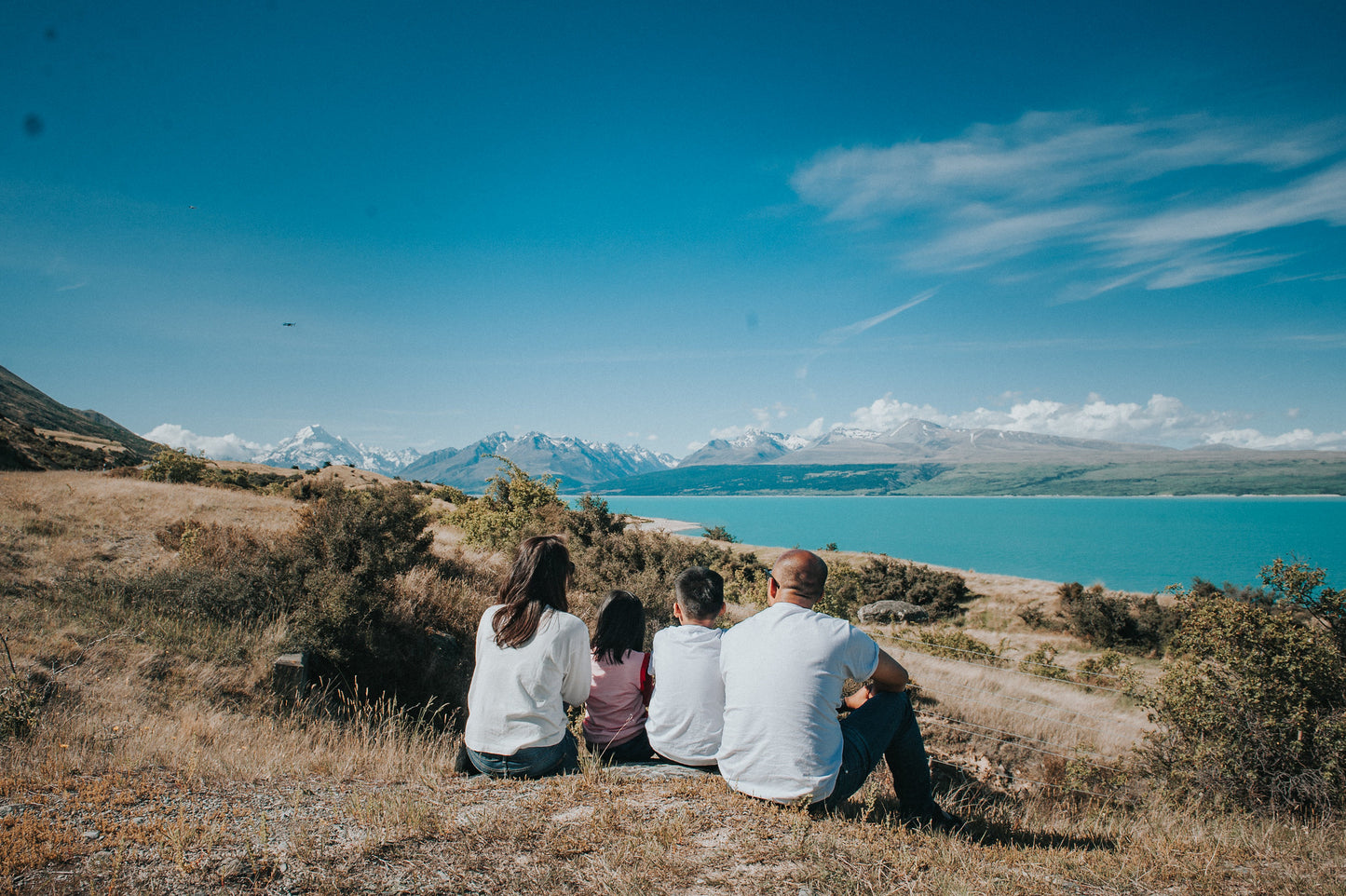 SOUTH NEW ZEALAND