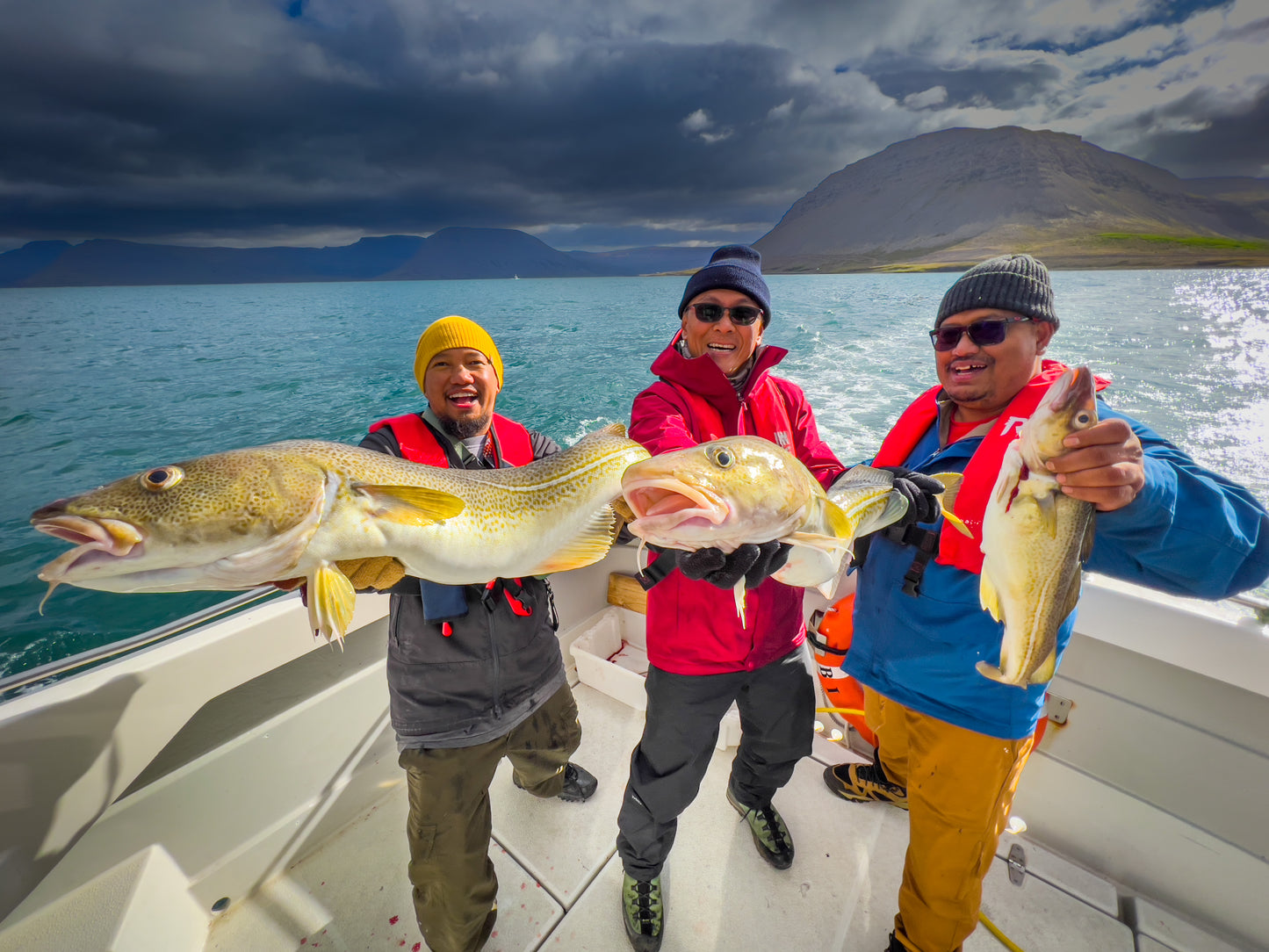 ICELAND RINGROAD & WESTFJORD
